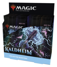 Mtgkhm en cltrbstrdsp 01 03