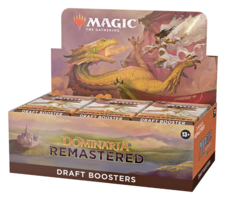 Mtgdmr en bstrdspbx drft 01 03